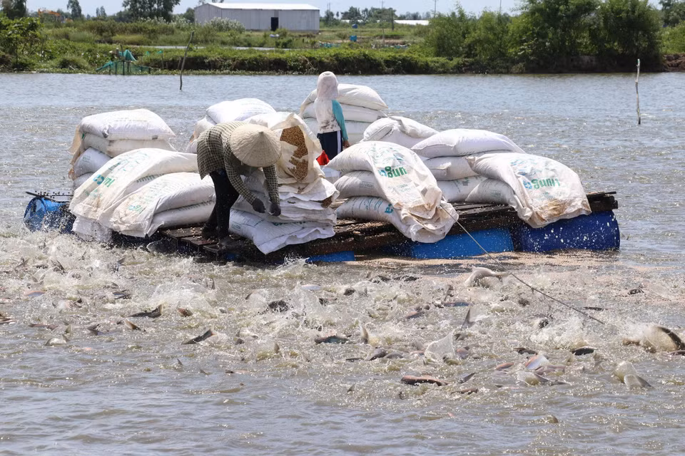 Cà phê là một trong các mặt hàng xuất khẩu chủ lực của Việt Nam đạt kim ngạch xuất khẩu trên 1 tỷ USD/năm. (Ảnh: TTXVN)