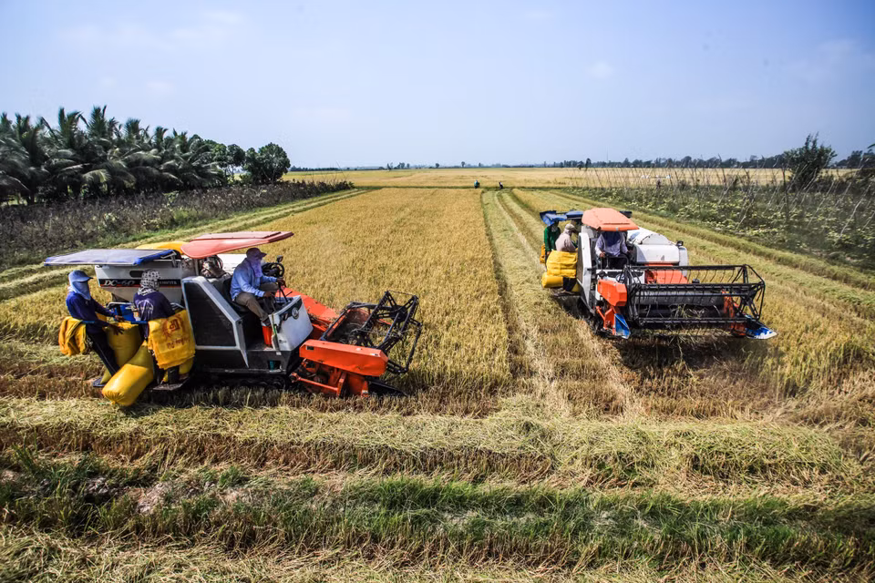 Hộ gia đình ở xóm Tướng Quân, xã Hoá Thượng, huyện Đồng Hỷ, tỉnh Thái Nguyên vay vốn Quỹ Quốc gia về việc làm để đầu tư trang trại chăn nuôi 6.000/6.500 con gà, lợi nhuận hơn 100 triệu đồng/năm. (Ảnh: Minh Quyết/TTXVN)