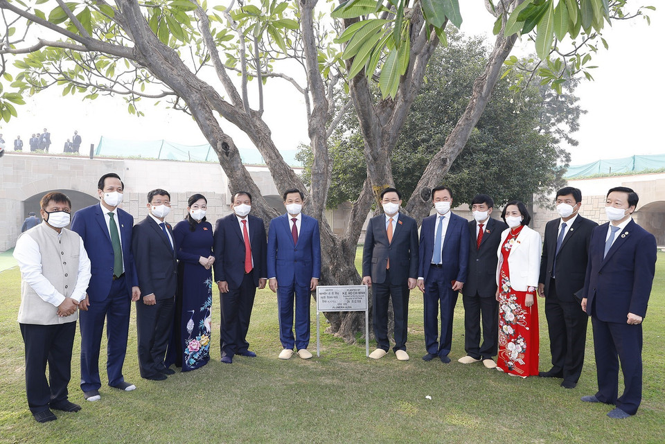 Chủ tịch Quốc hội Vương Đình Huệ và đại biểu chụp ảnh lưu niệm dưới cây hoa đại do Chủ tịch Hồ Chí Minh trồng tại Đài tưởng niệm Mahatma Gandhi. (Ảnh: Doãn Tấn/TTXVN)