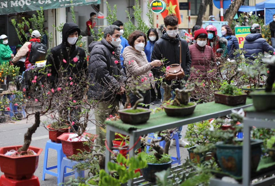 Chợ hoa truyền thống Hàng Lược hút khách ngày cận Tết. (Ảnh: Thanh Tùng/TTXVN)