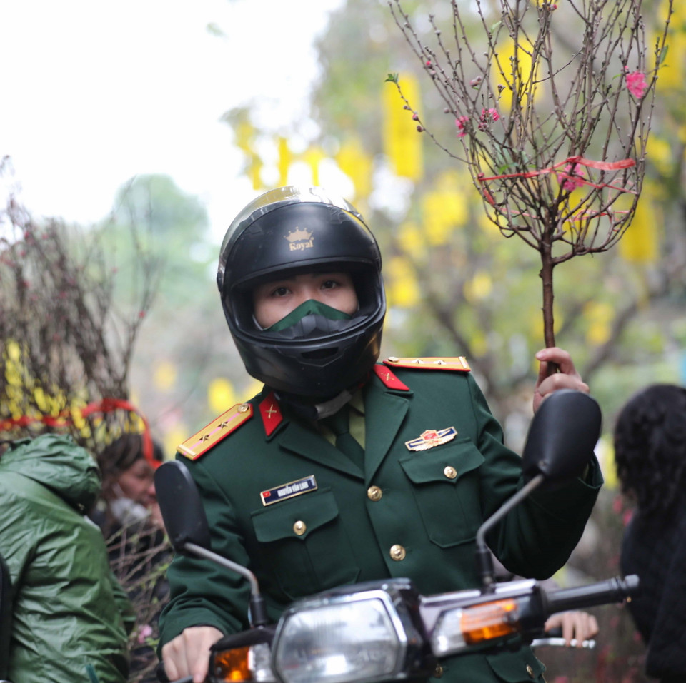 Chọn được cành đào ưng ý như đã mang Xuân về nhà. (Ảnh: Thanh Tùng/TTXVN)