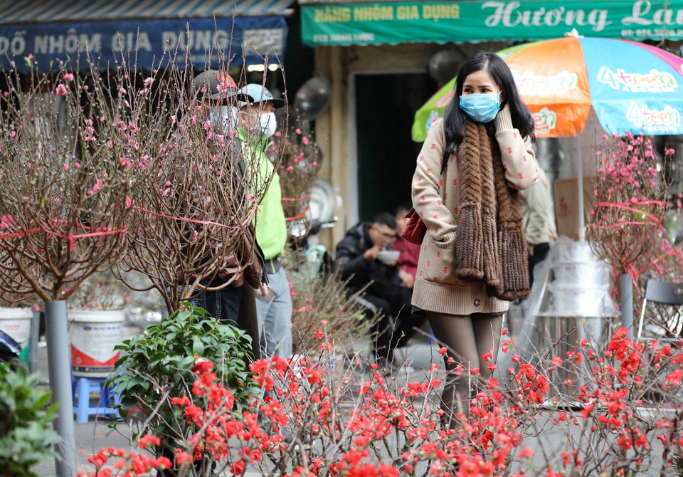 Tiết trời lạnh nhưng khô ráo, thuận lợi để người dân đến chợ hoa truyền thống Hàng Lược sắm hoa Tết. (Ảnh: Thanh Tùng/TTXVN)