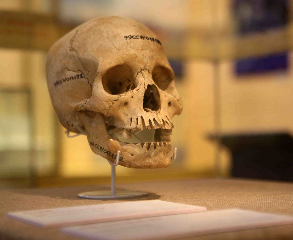 Hiện vật được trưng bày. (Ảnh: Thanh Tùng/TTXVN)