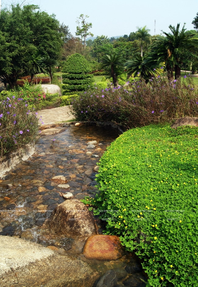 Một tiểu cảnh thiên nhiên xinh đẹp trong Khu du lịch sinh thái Rừng Madagui. (Nguồn: Nguyễn Vũ Thành Đạt/Báo ảnh Việt Nam)