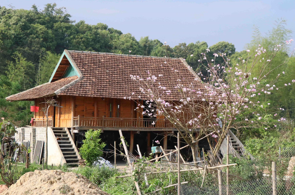 Nếp nhà sàn truyền thống của người Thái ở bản Phăng, xã Mường Phăng, thành phố Điện Biên Phủ, tỉnh Điện Biên. (Ảnh: Xuân Tiến/TTXVN)