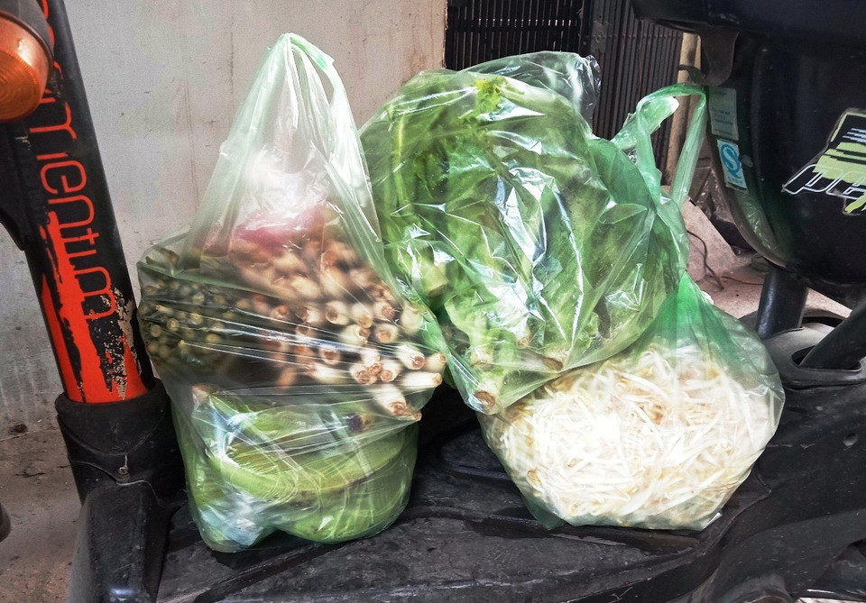 Theo báo cáo của Hội Bảo vệ Thiên nhiên và Môi trường Việt, chỉ có khoảng 14% chất thải nhựa được thu hồi để tái chế. Số còn lại được chôn lấp, và đổ thải trực tiếp ra môi trường. (Ảnh: Hùng Võ/Vietnam+)