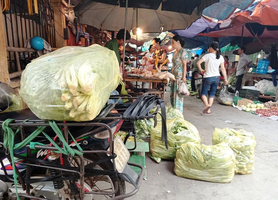 Theo các nhà khoa học, các loại túi nhựa có thể mất 500-1.000 năm mới có thể tự phân huỷ. (Ảnh: Hùng Võ/Vietnam+)