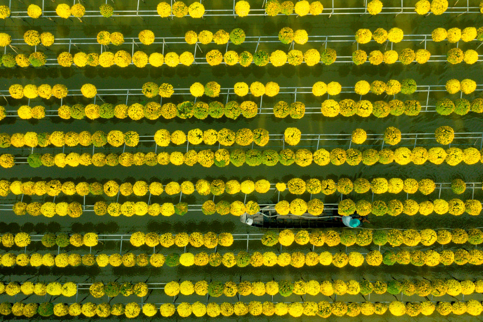 Làng hoa Tết ở Sa Đéc nhìn từ trên cao. (Nguồn: Vietnam+)