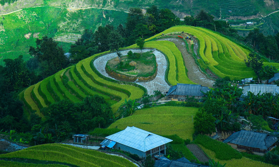 Ruộng lúa bậc thang hình trái tim ở xã Bản Phùng, huyện Hoàng Su Phì (Hà Giang). (Ảnh: Nguyễn Chiến/TTXVN)