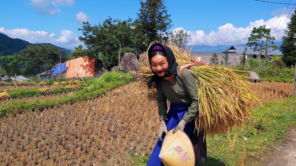 Niềm vui được mùa của người dân xã Tả Sử Choóng, huyện Hoàng Su Phì (Hà Giang). (Ảnh: Nguyễn Chiến/TTXVN)