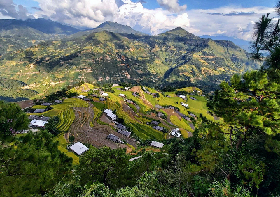 Ruộng bậc thang ở Bản Phùng, huyện Hoàng Su Phì (Hà Giang). (Ảnh: Nguyễn Chiến/TTXVN)
