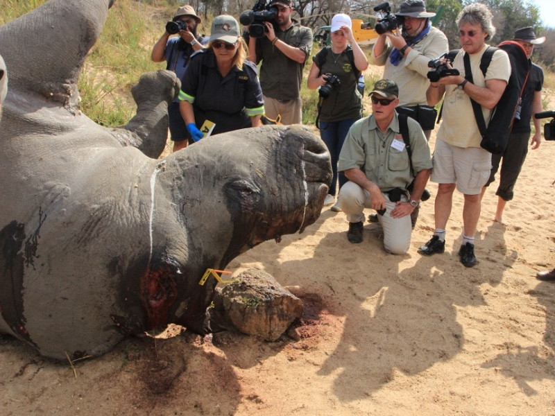 Các nhà bảo tồn và báo chí thế giới có mặt tại khu vực Vườn quốc gia Kruger ở Nam Phi. (Ảnh: ENV cung cấp)
