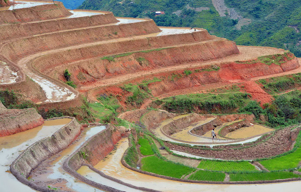 Hình ảnh ruộng bậc thang Bản Phùng khi mùa nước đổ. (Ảnh: Thanh Hà/TTXVN)