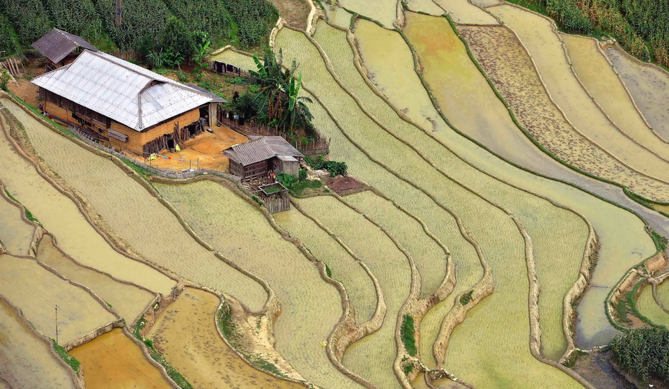 Hình ảnh ruộng bậc thang Bản Phùng khi mùa nước đổ. (Ảnh: Thanh Hà/TTXVN)