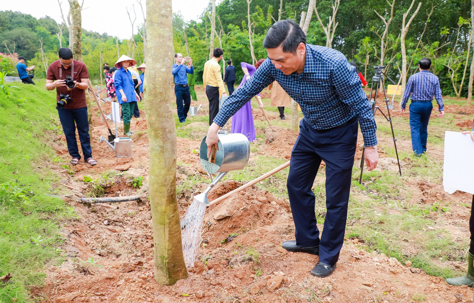 Có thể thấy, những hoạt động trồng cây thế này thực sự là những sự kiện đầy tính truyền cảm hứng; để mỗi cơ quan quản lý, mỗi cơ quan đoàn thể và đông đảo người dân thấu hiểu hơn ý nghĩa “gieo mầm xanh, gặt hy vọng” qua từng cây non được vun trồng, tưới bón mỗi ngày. (Ảnh: PV/Vietnam+)