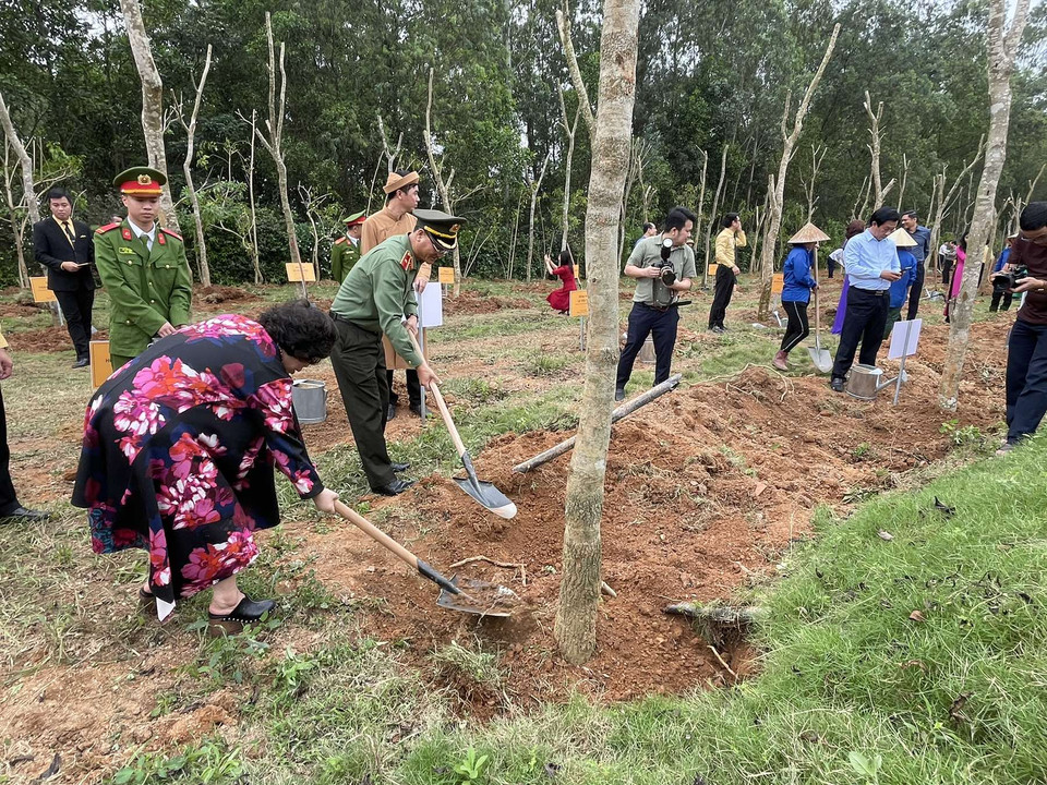 Trồng cây, gây rừng và bảo vệ môi trường sinh thái đã mang lại giá trị thực tiễn, góp phần làm đẹp cảnh quan môi trường, nhất là trong tình hình biến đổi khí hậu, ô nhiễm môi trường như hiện nay. (Ảnh: PV/Vietnam+)