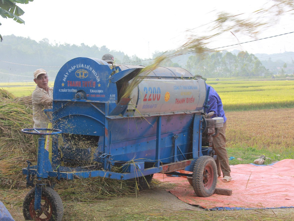 Những chiếc máy tuốt lúa đang dần thân thuộc với người nông dân. Trung bình mỗi sào lúa được thụt bằng máy này có giá 80.000-100.000 đồng. (Ảnh: Hùng Võ/Vietnam+)