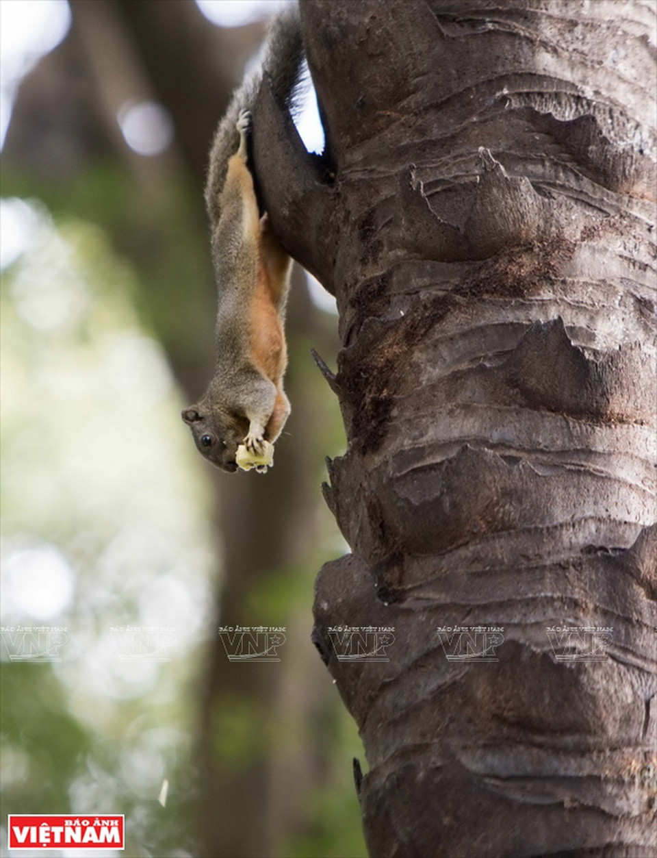 Thưởng thức bữa ăn ngon lành