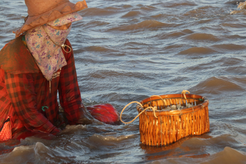 (Ảnh: Hạnh Nguyễn/Vietnam+)