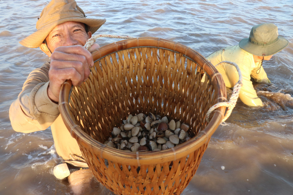 Bình minh lấp loáng nụ cười của người nông dân thu hoạch nghêu. (Ảnh: Hạnh Nguyễn/Vietnam+)