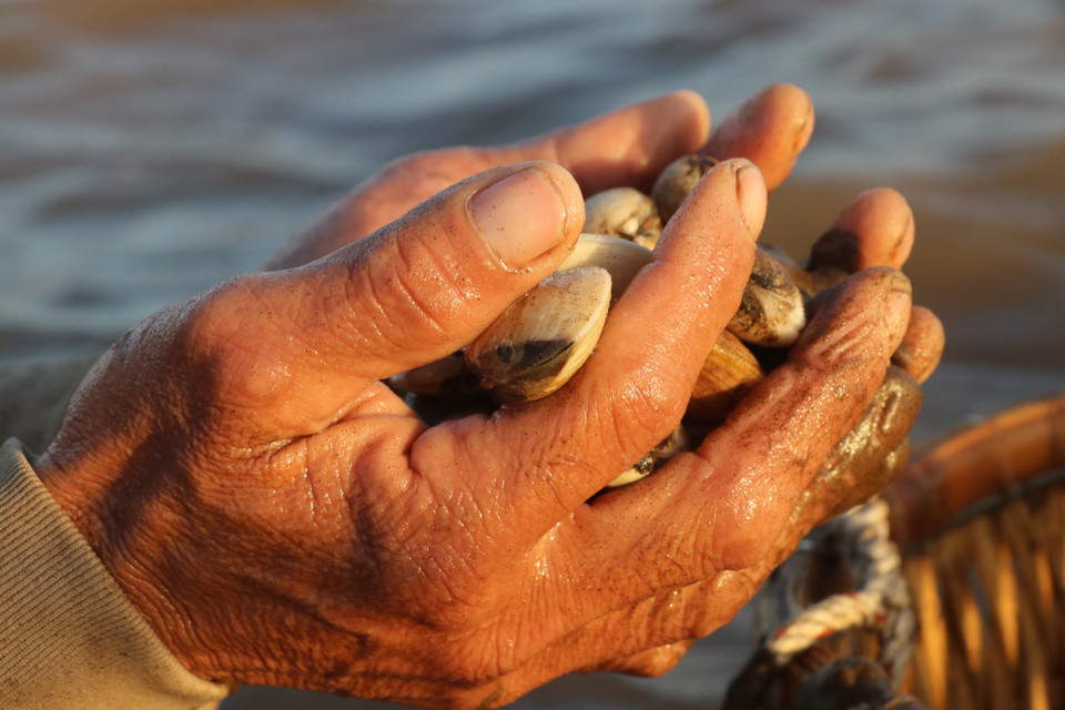 (Ảnh: Hạnh Nguyễn/Vietnam+)
