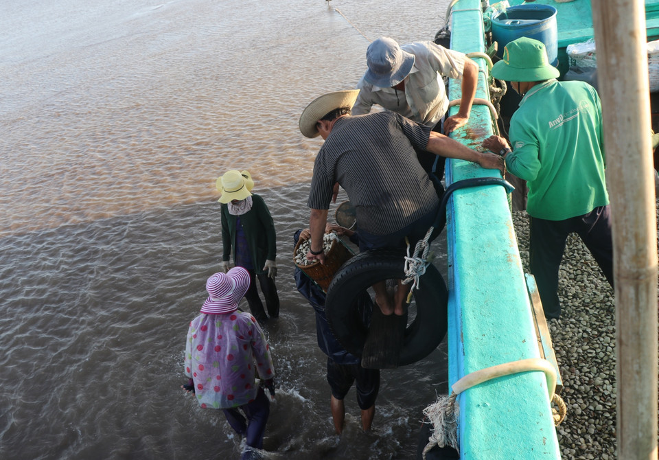 (Ảnh: Hạnh Nguyễn/Vietnam+)