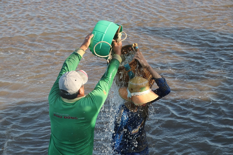 Hoạt động tráng cát làm sạch nghêu trước khi đưa lên tàu. (Ảnh: Hạnh Nguyễn/Vietnam+)