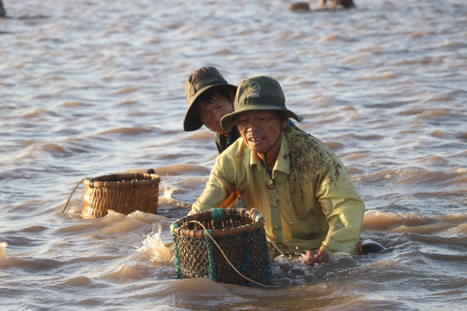 Lao động trong nghề nghêu rất vất vả song bù lại có một khoản thu nhập ổn định từ 3-5 triệu đồng/tháng. (Ảnh: Hạnh Nguyễn/Vietnam+)