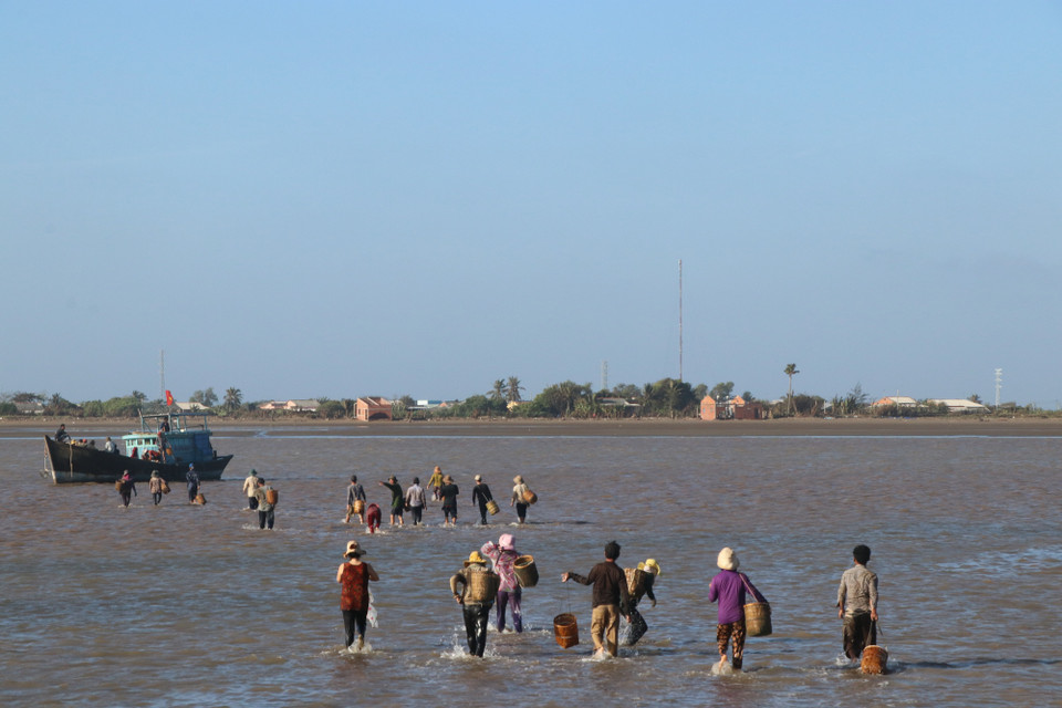 Các xã viên Hợp tác xã Thuỷ sản Thạnh Lợi trở về sau buổi thu hoạch nghêu hiệu quả. (Ảnh: Hạnh Nguyễn/Vietnam+)
