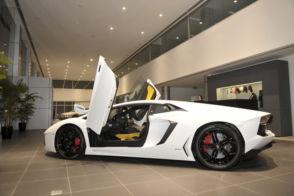 Aventador là tên chú bò tót nổi tiếng, tham gia trận đấu vào tháng 10/1993 tại Saragossa Arena