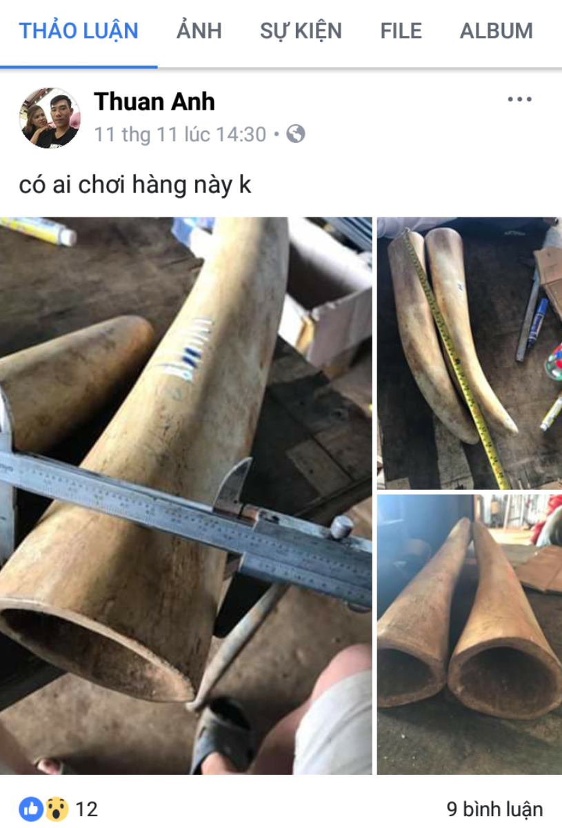 Ngà voi và các sản phẩm chế tác từ ngà voi được rao bán trên mạng xã hội. (Ảnh: PV/Vietnam+)