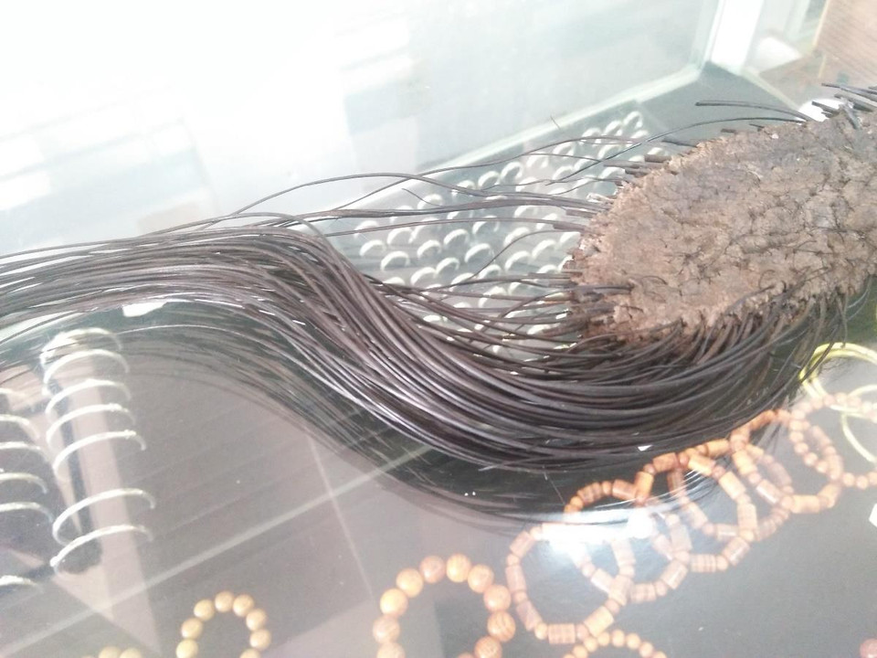 Lông voi được rao bán với giá 100.000 đồng mỗi sợi. (Ảnh: PV/Vietnam+)