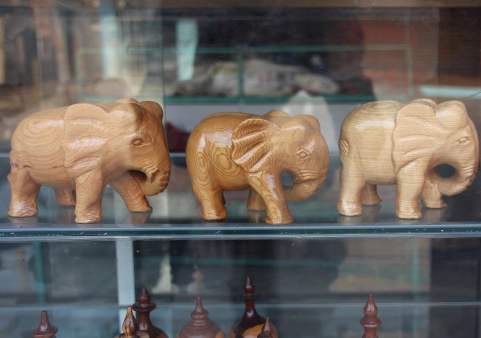 (Ảnh: PV/Vietnam+)