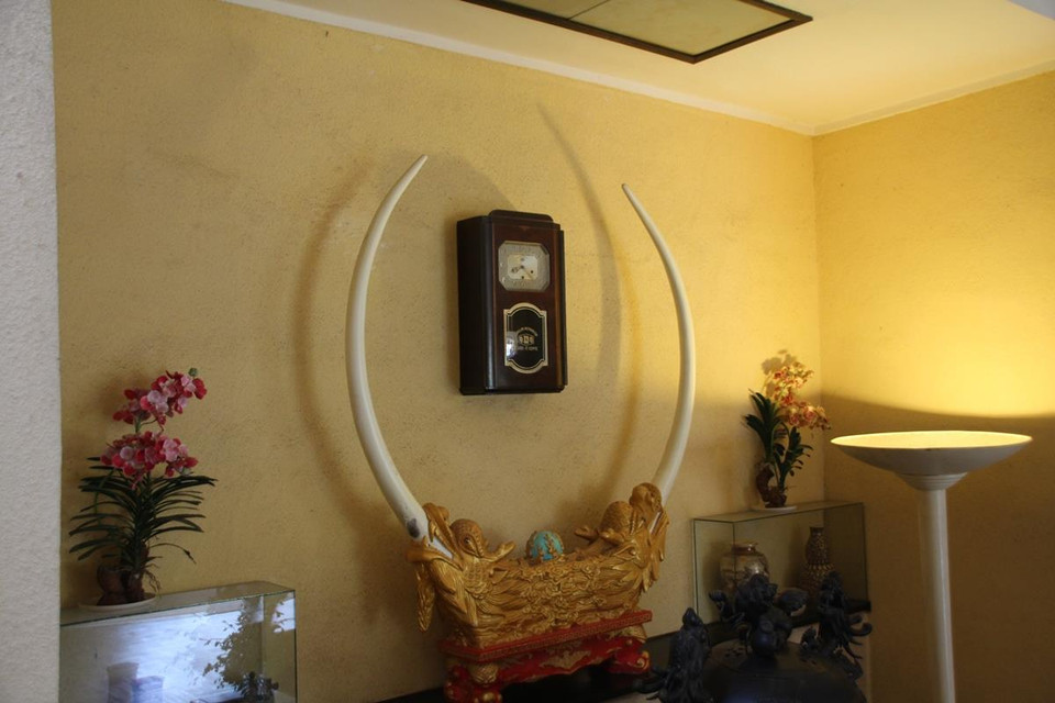 (Ảnh: PV/Vietnam+)