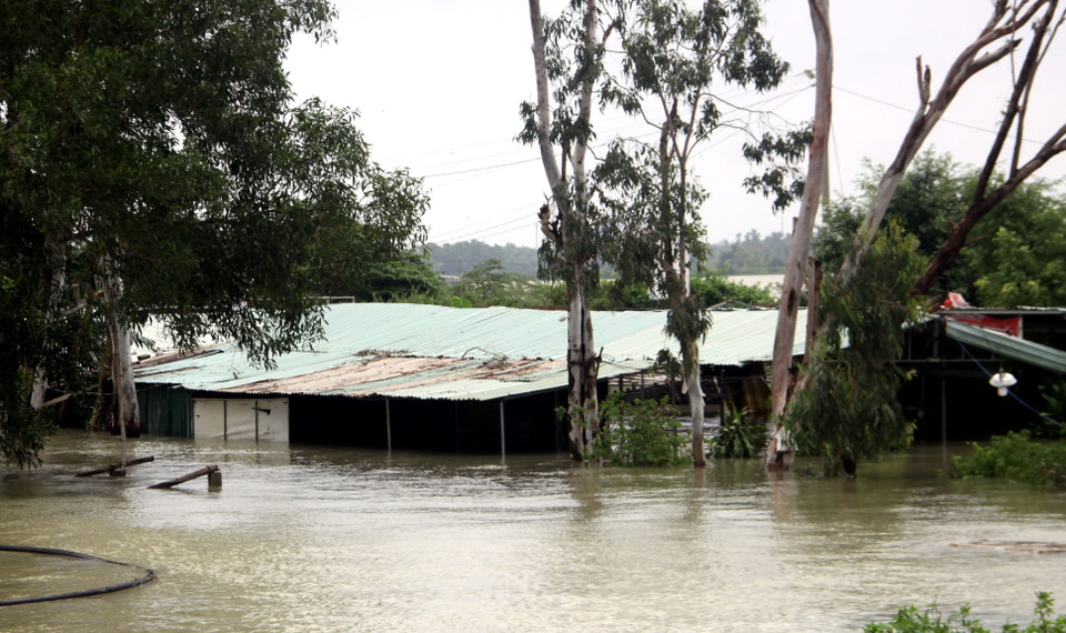 Hàng quán trên địa bàn xã Tam Đàn, huyện Phú Ninh bị ngập nước. (Ảnh: Phước Tuệ/TTXVN)