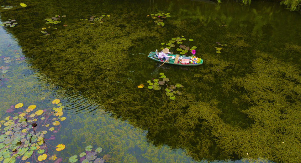 Nằm ở xã Ninh Hải, huyện Hoa Lư, Ninh Bình, cách thủ đô Hà Nội khoảng 100km về phía Nam, Tam Cốc - một bức tranh thủy mặc đẹp đến mê hồn trong tiết thu mát mẻ. (Ảnh: Minh Đức/TTXVN)