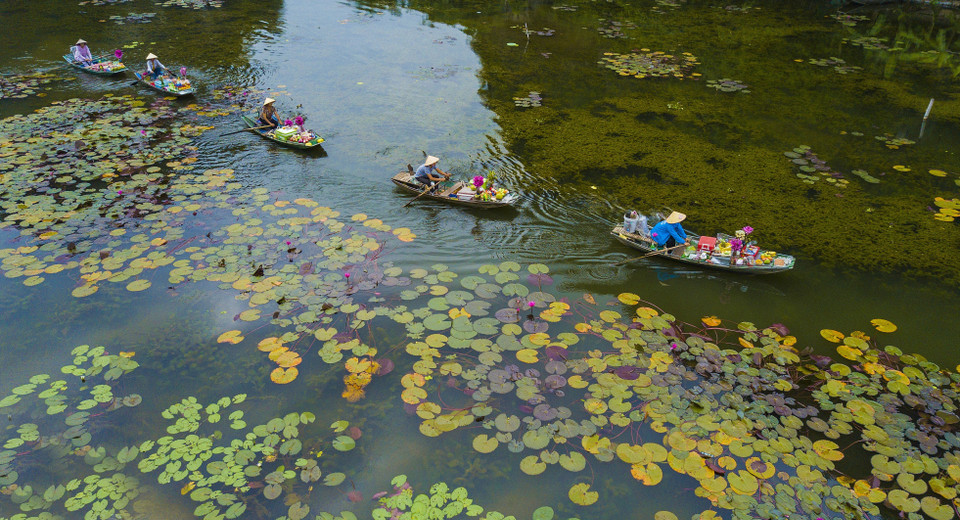 Du khách đi thuyền được ngắm những loại thủy sinh phong phú dưới làn nước tạo nên một vẻ đẹp ấn tượng của tự nhiên. (Ảnh: Minh Đức/TTXVN)