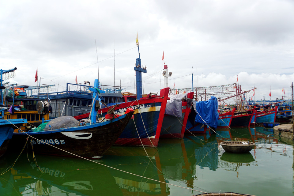 Tàu, thuyền đã được neo, đậu chắc chắn tại Âu thuyền xã Tam Tiến, huyện Núi Thành, Quảng Nam. (Ảnh: Trịnh Bang Nhiệm/TTXVN)