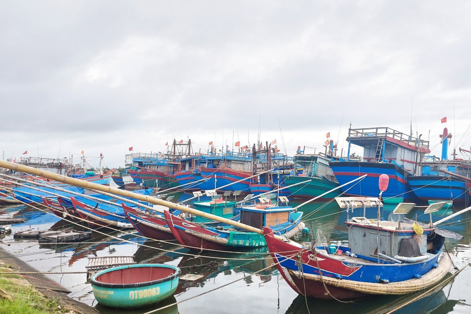 Số tàu thuyền đã neo đậu an toàn tại bến là 2.295 chiếc với 6.075 thuyền viên tại Quảng Trị. (Ảnh: Nguyên Lý/TTXVN)