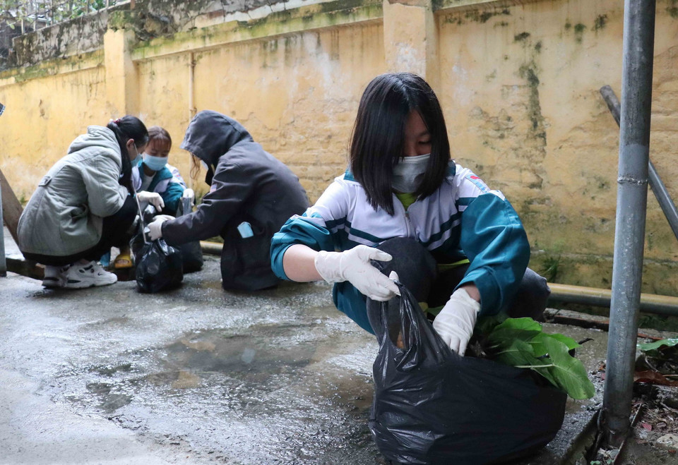 Các em học sinh trường THPT Hưng Yên thu gom rác xung quanh trường. (Ảnh: Đinh Tuấn/TTXVN)