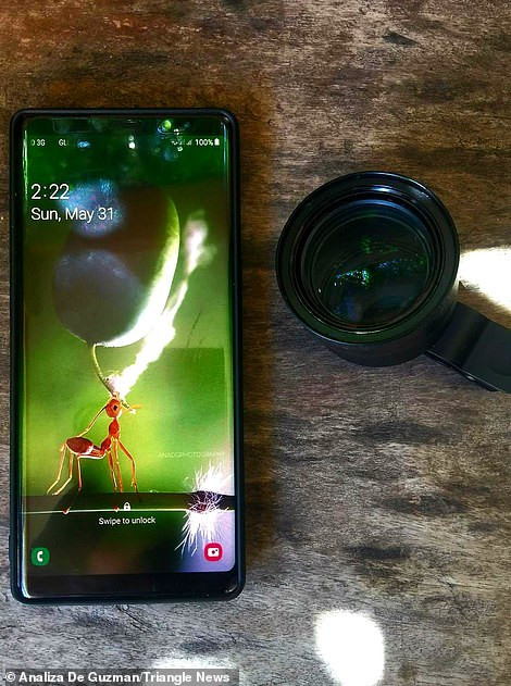 Dụng cụ giúp Analiza Daran De Guzman chụp nên bộ ảnh tuyệt đẹp. (Nguồn: Daily Mail)