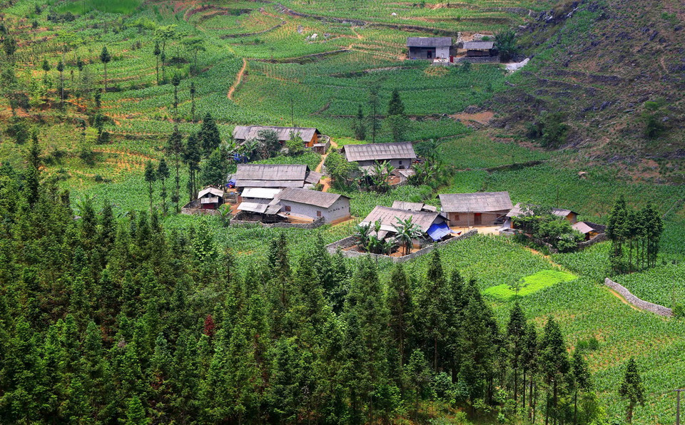 Những ngôi làng nhỏ nằm giữa thung lũng và rừng thông Yên Minh. (Ảnh: Thành Đạt/TTXVN)