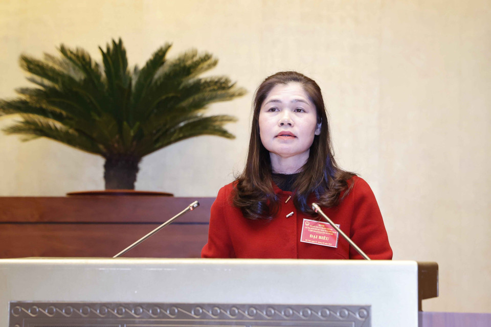 Bà Lê Thị Thanh Trà, Phó Chủ tịch HDND tỉnh Tuyên Quang phát biểu. (Ảnh: Doãn Tấn/TTXVN)