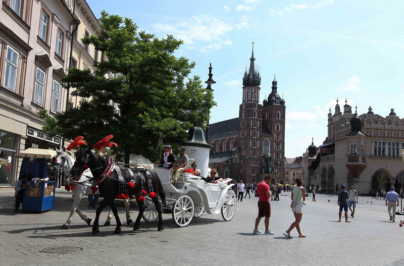 Đến Krakow, du khách có thể tham quan quanh thành phố bằng một phương tiện rất đặc biệt là xe ngựa cổ rộng rãi. (Ảnh: Quang Hải/TTXVN)