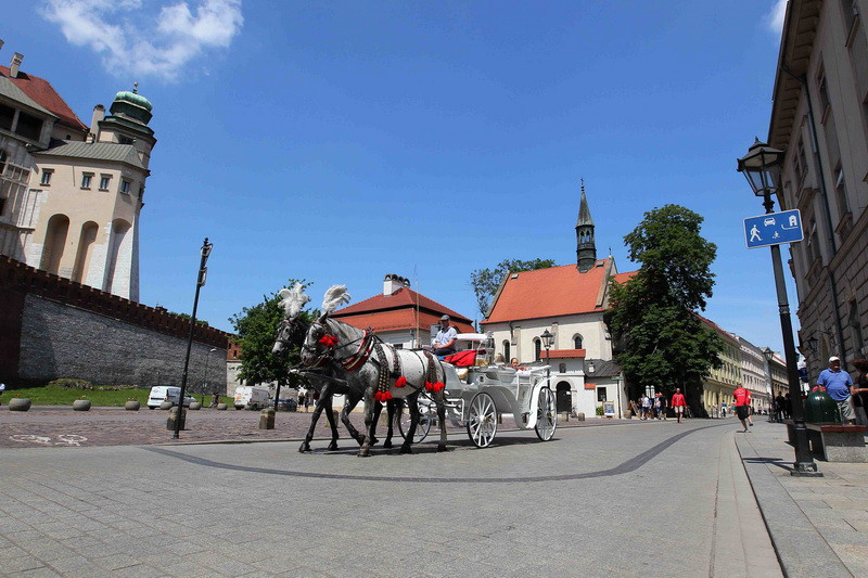 Đến Krakow, du khách có thể tham quan quanh thành phố bằng một phương tiện rất đặc biệt là xe ngựa cổ rộng rãi, được khoác lên mình các đồ vật trang trí rất ấn tượng và khá bắt mắt, do một đôi ngựa to khỏe được chải chuốt kỹ lưỡng cùng kéo. Điều này khiến cho du khách cảm thấy như được trở về thời rất xưa, thời những nhà quý tộc thong dong trên những cỗ xe ngựa hào nhoáng để dạo phố. (Ảnh: Quang Hải/TTXVN)