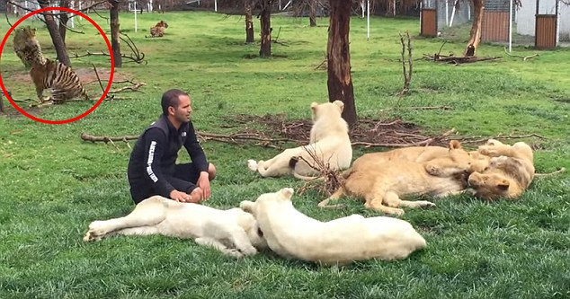 Con bão bỗng nhiên lao tới chỗ anh Serio. (Nguồn: Daily Mail)