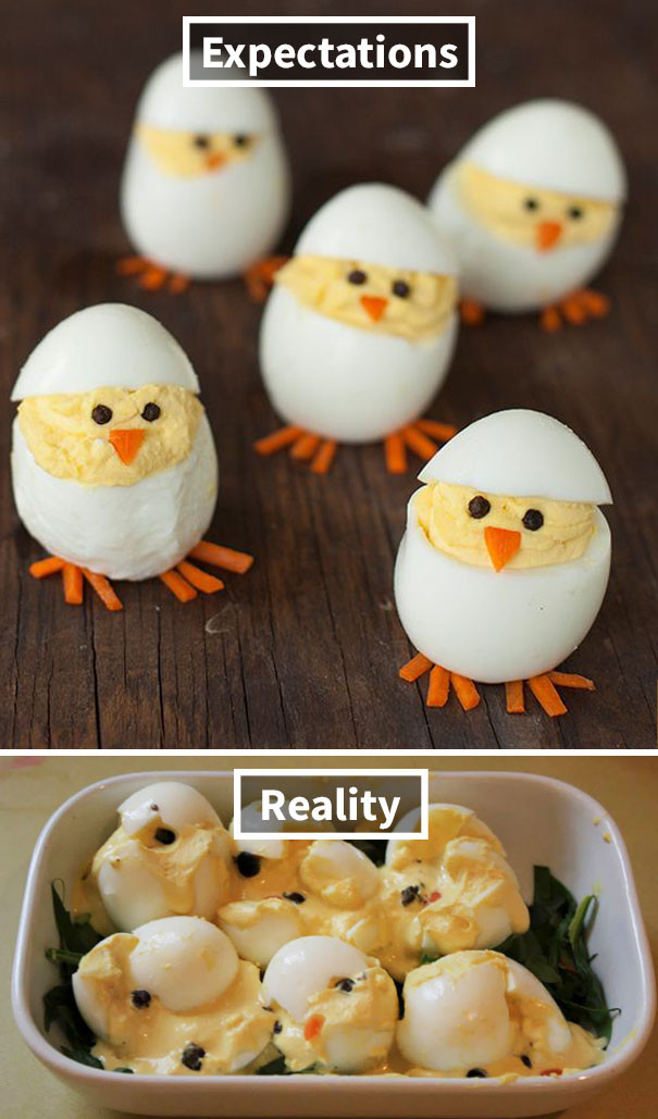 Những chú gà con vừa chập chững bước vào đời đã gặp phải số phận quá khắc nghiệt. (Nguồn: boredpanda.com)