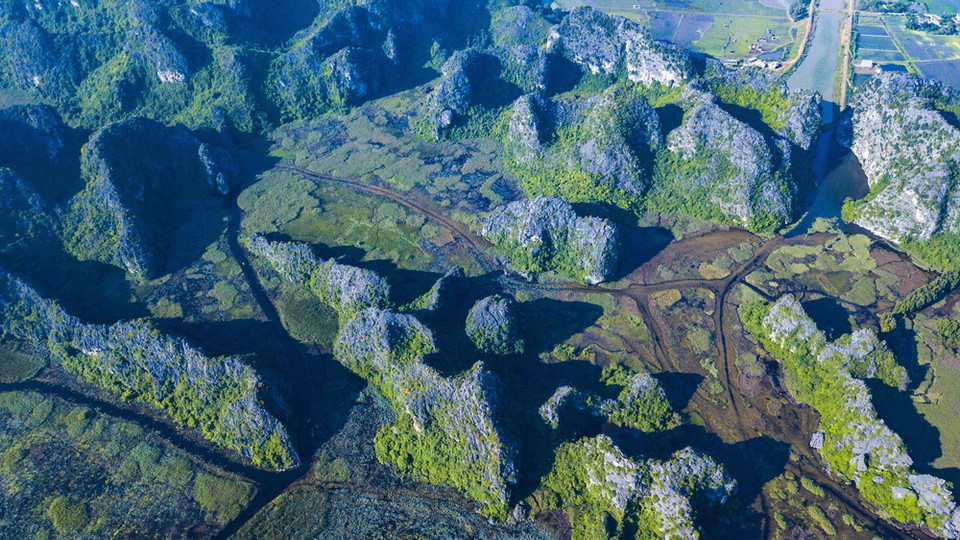 Hiện khu bảo tồn thiên nhiên Vân Long được chính phủ Hà Lan, Quỹ Môi trường Toàn cầu (GEF) và Trung tâm Cứu hộ Linh trưởng quý hiếm Cúc Phương hỗ trợ việc bảo tồn các loài thú quý hiếm. (Ảnh: Minh Đức/TTXVN)