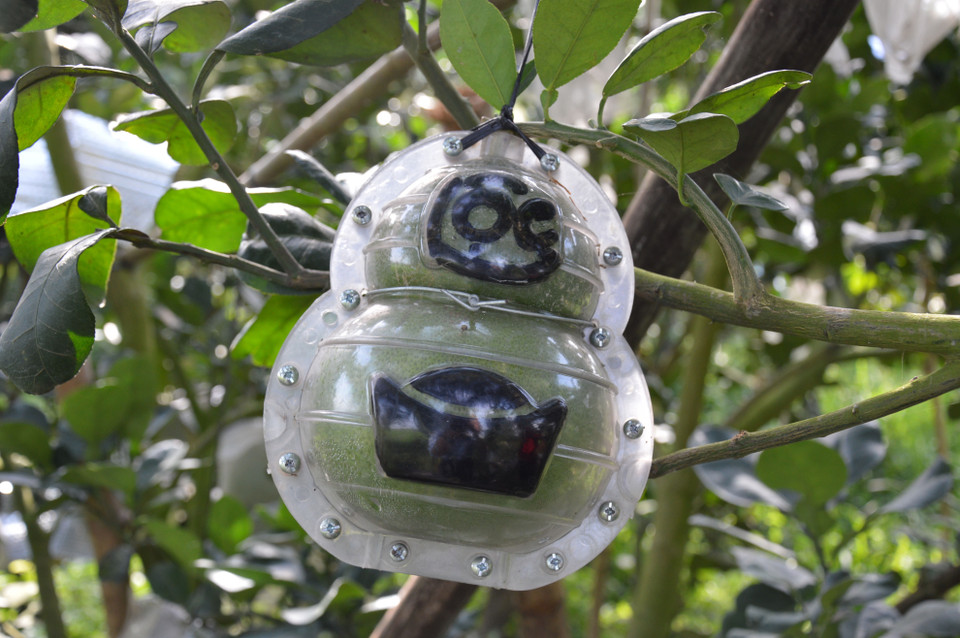 Mỗi cặp bưởi tạo hình, khắc chữ có giá hơn 1 triệu đồng. (Ảnh: Nhựt An/TTXVN)