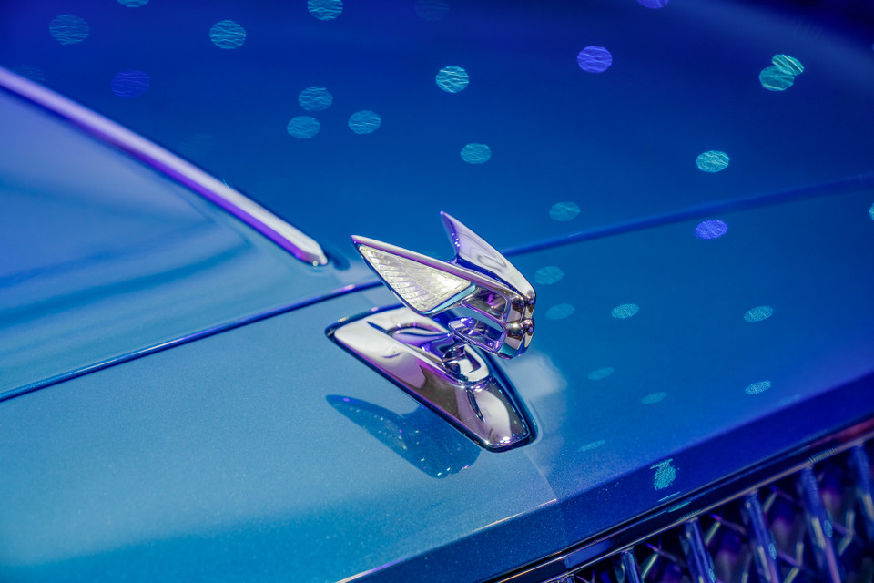 Logo "B bay" của Bentley có đôi cánh phát sáng phía sau được làm từ một miếng thép không gỉ 316 nguyên khối, nung chảy ở nhiệt độ lên đến 1.600 độ C. Ngoài ra, chiếc logo này còn có khả năng tự thụt, thò xuống khi có lực tác động phòng chống trộm cắp. (Ảnh: PV/Vietnam+)
